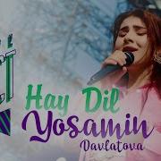 Hay Dil Yosamin Давлатова