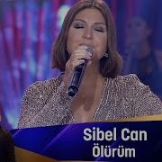 Sibelcan