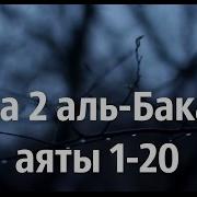 Сура Бакара Аят 1 По 20