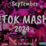 Tiktok Mashup 2024