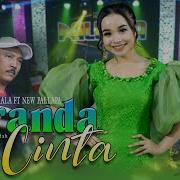 Lagu Dangdut Keranda Cinta