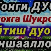 Шукрона Сураси Тонги Сахарда