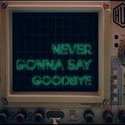 Dawes Never Gonna Say Goodbye Lyric Video