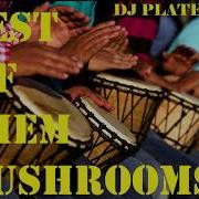 Them Mushrooms Music