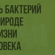 Параграф 3 Роль Биологии В Жизни Современного Человека