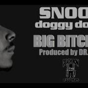 Big Snoop Doggy Dogg