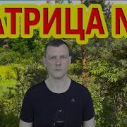 7 Тера Настани