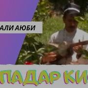 Падар Гарди Бидони Ки Падар Кист