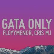 Gata Only Lyrics