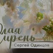 Сергей Одинцов Белая Сирень