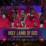 Holy Lamb Of God