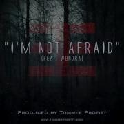 I M Not Afraid Feat Wondra Tommee Profitt