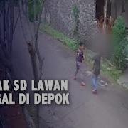 Anak Sd Colmek