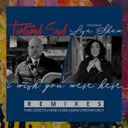 Tortured Soul Feat Lisa Shaw I Wish You Were Here Marcdimeo Remix