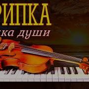 Скрипка Электронная Музыка