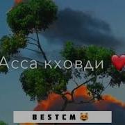 Хаза Б1Аьсте Вайна Кхечи Бай Т1Е Зезаг Вайна Дели