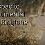 Despacito Instrumental Flute Ringtone Despacito Mp3