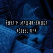 Многоточие Кошка Speed Ul