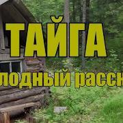 Аудио Рассказ Тайга