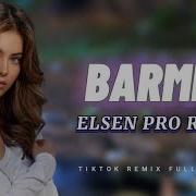 Elsen Pro Barmen Добрый Я