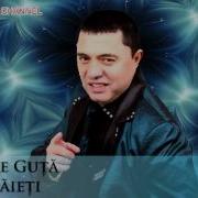 Nicolae Guta Hai Baieti