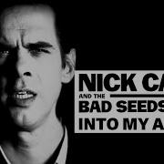 Nick Cave Into My Arms W Moich Ramionach