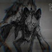 Skinwalker Sounds