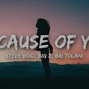 Steve Void Because Of You Feat Bri Tolani