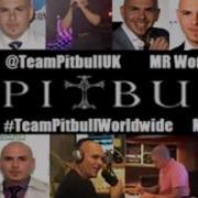 Pitbull Echa Pa Lla Manos Pa Rriba English Version