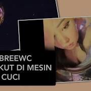 Msbreewc Mesin Cuci