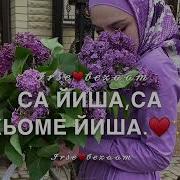 Чеченски Песня Ден Рождени У Сестре