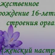 Божественное Возрождение 16 Летнего Строения Организма Настрой Сытина