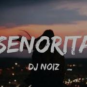 Señorita Tiktok Song