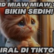 Miaw Miaw Miaw Song Sad Tiktok