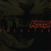 Predator Accept