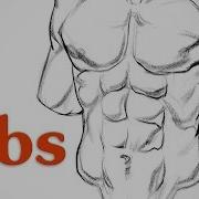 How To Draw Abs Anatomy