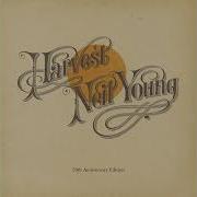 Neil Young Heart Of Gold