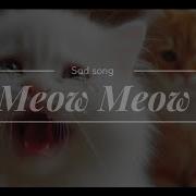 Meow Meow Meow Meow Song Tiktok