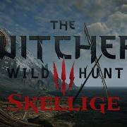 Witcher 3 Skellige Ambience Music