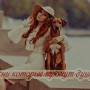 Новый Сборник 2018