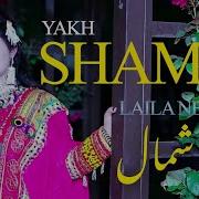 Laila Nehal Pashto Song