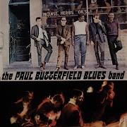 The Paul Butterfield Blues Band Born In Chicago Lp Version