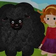 Bla Bla Black Sheep