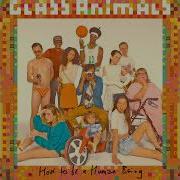 Glass Animals Take A Slice Instrumental