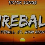 Pitbull Fireball Tiktok