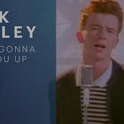 Never Gonna Give Me You Up