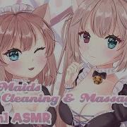 Lemon Leaf Asmr Maid