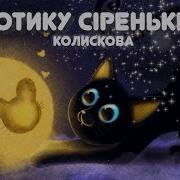 Котику Сіренький Плюс