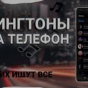 Блатной Ректон На Звонок