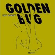 Golden Bug Disco Sensation